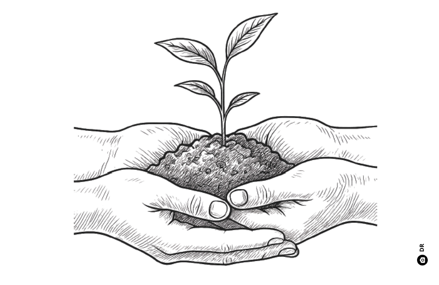 A imagem é um desenho. Dois pares de mãos unidos seguram um pequeno monte de terra, de onde brota uma planta.